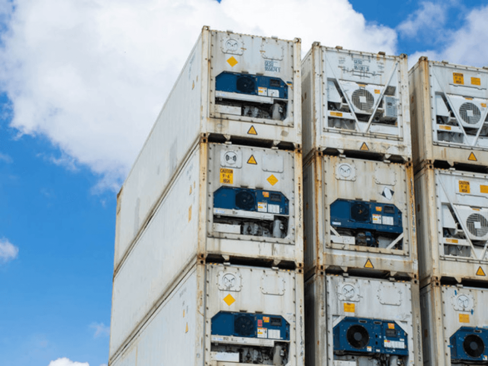 40ft Reefer Containers: Reliable Cold Storage Solutions in the Baltics